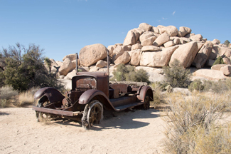 Joshua Tree